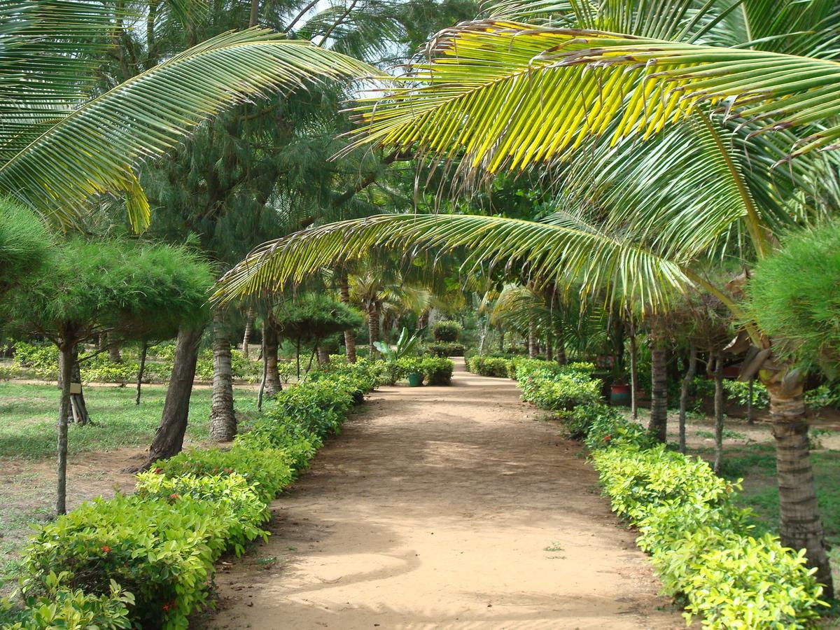 Hotel Village Vacances Awale Plage Grand-Popo Exteriör bild