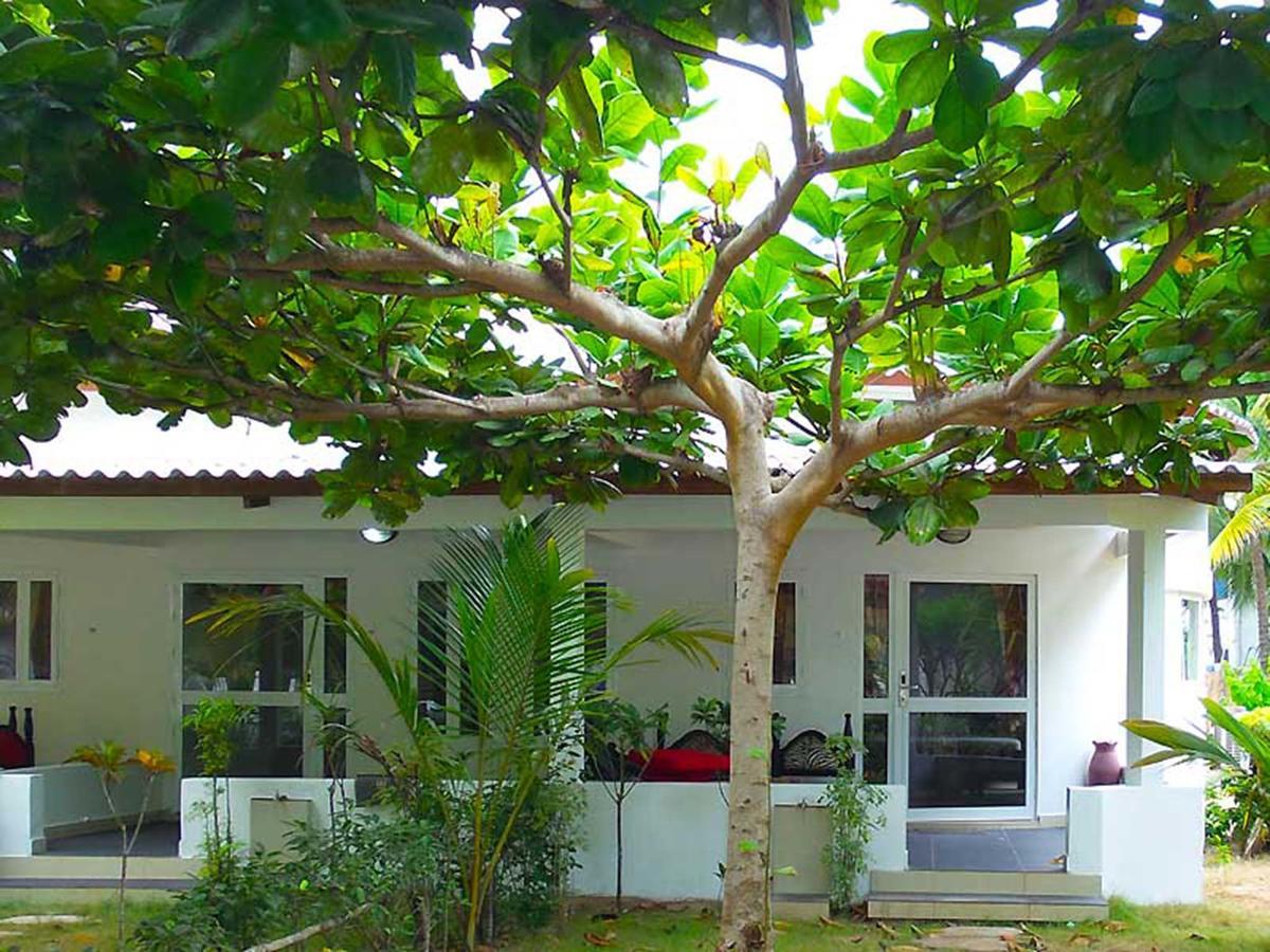 Hotel Village Vacances Awale Plage Grand-Popo Exteriör bild