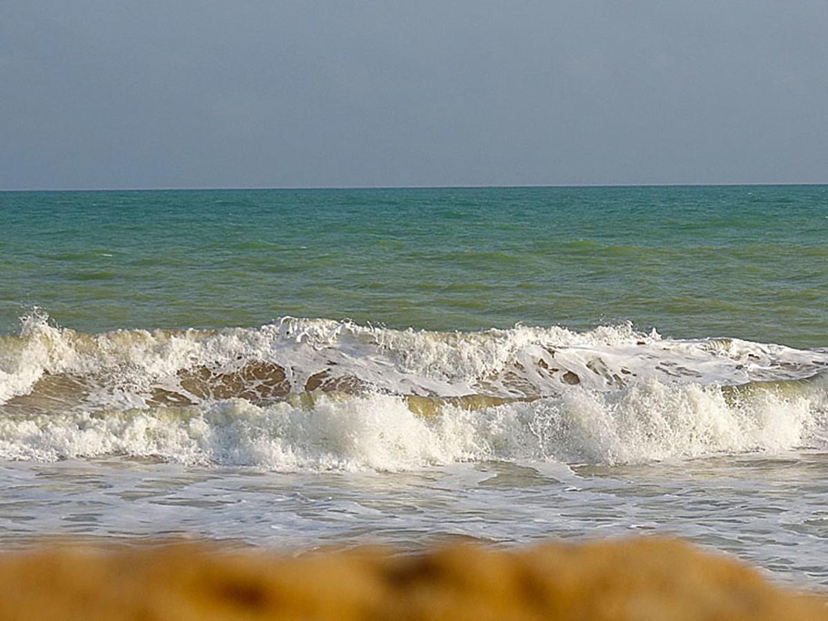 Hotel Village Vacances Awale Plage Grand-Popo Exteriör bild